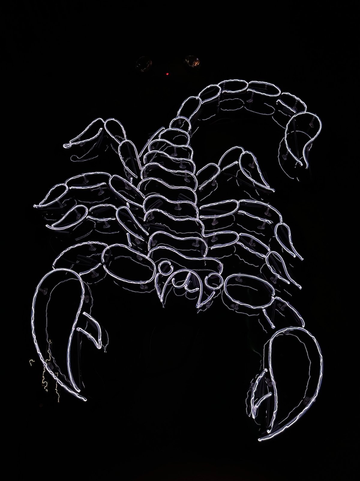 Image 7 from Los Angeles, Spring 2023 album