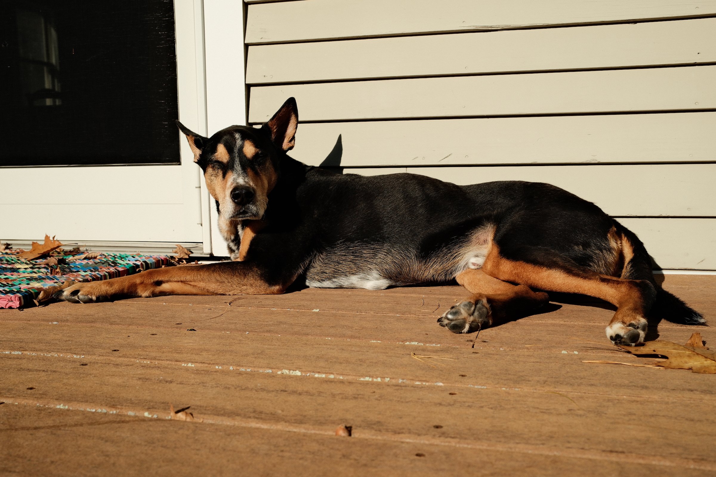 Image 1 from Maine, Fall 2024 album