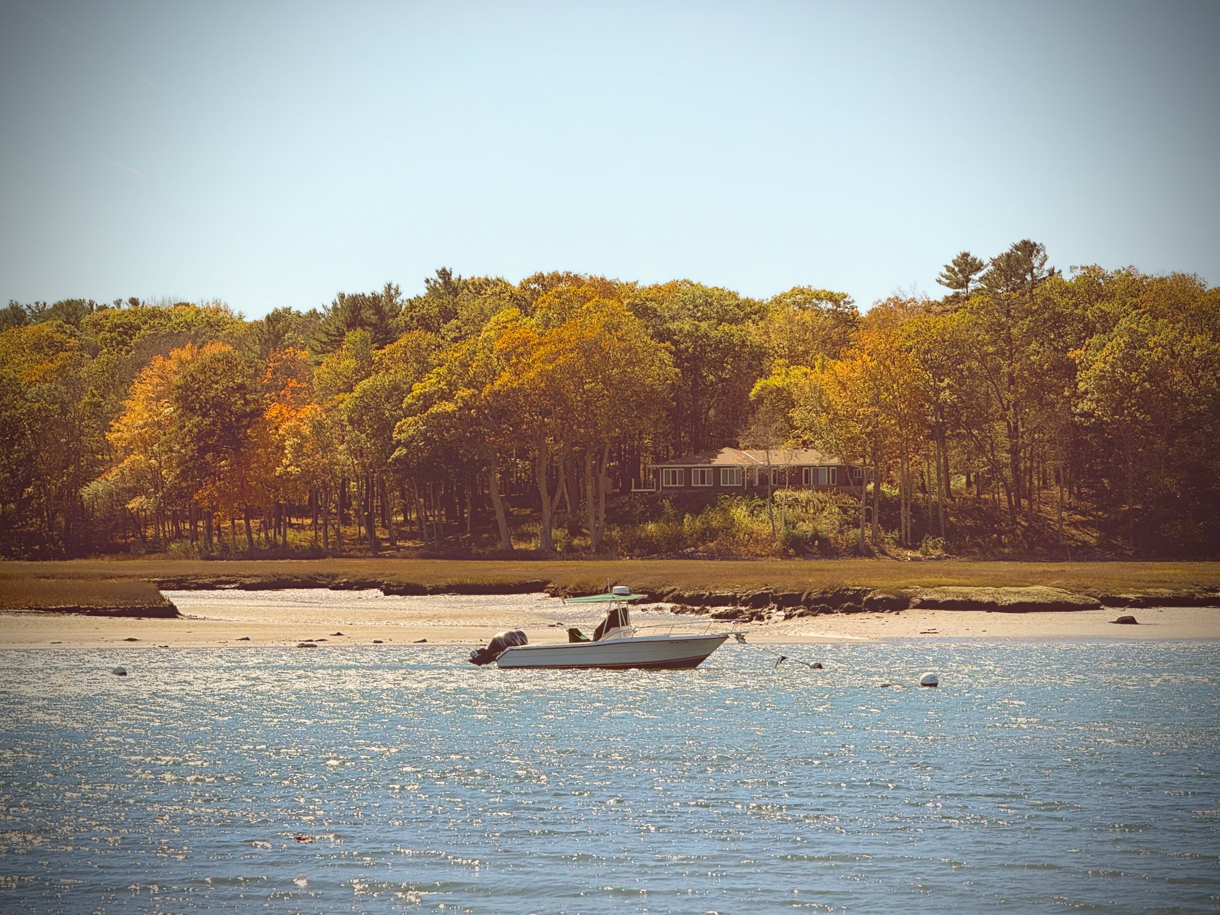 Image 3 from Maine, Fall 2024 album