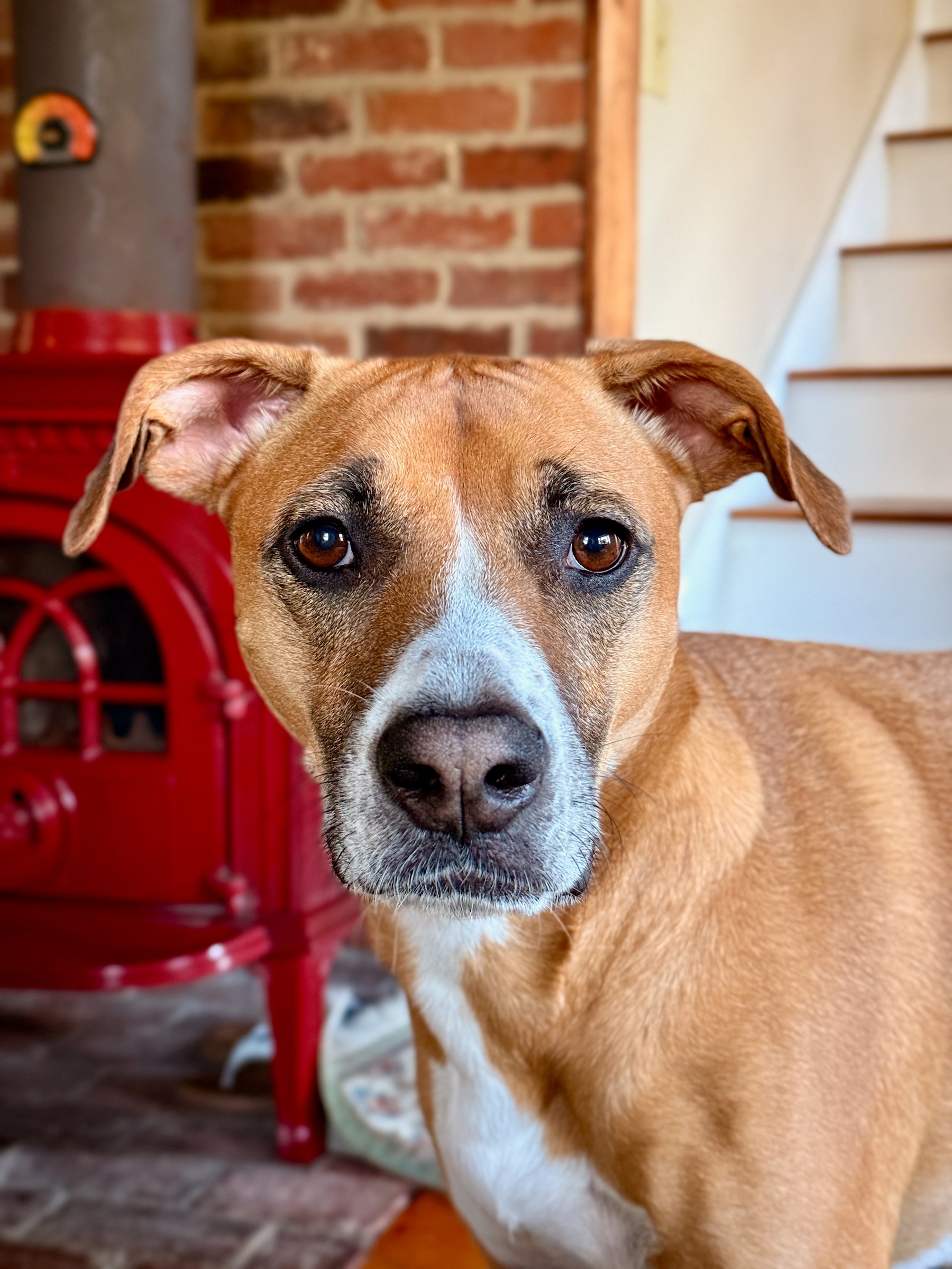 Image 6 from Maine, Fall 2024 album