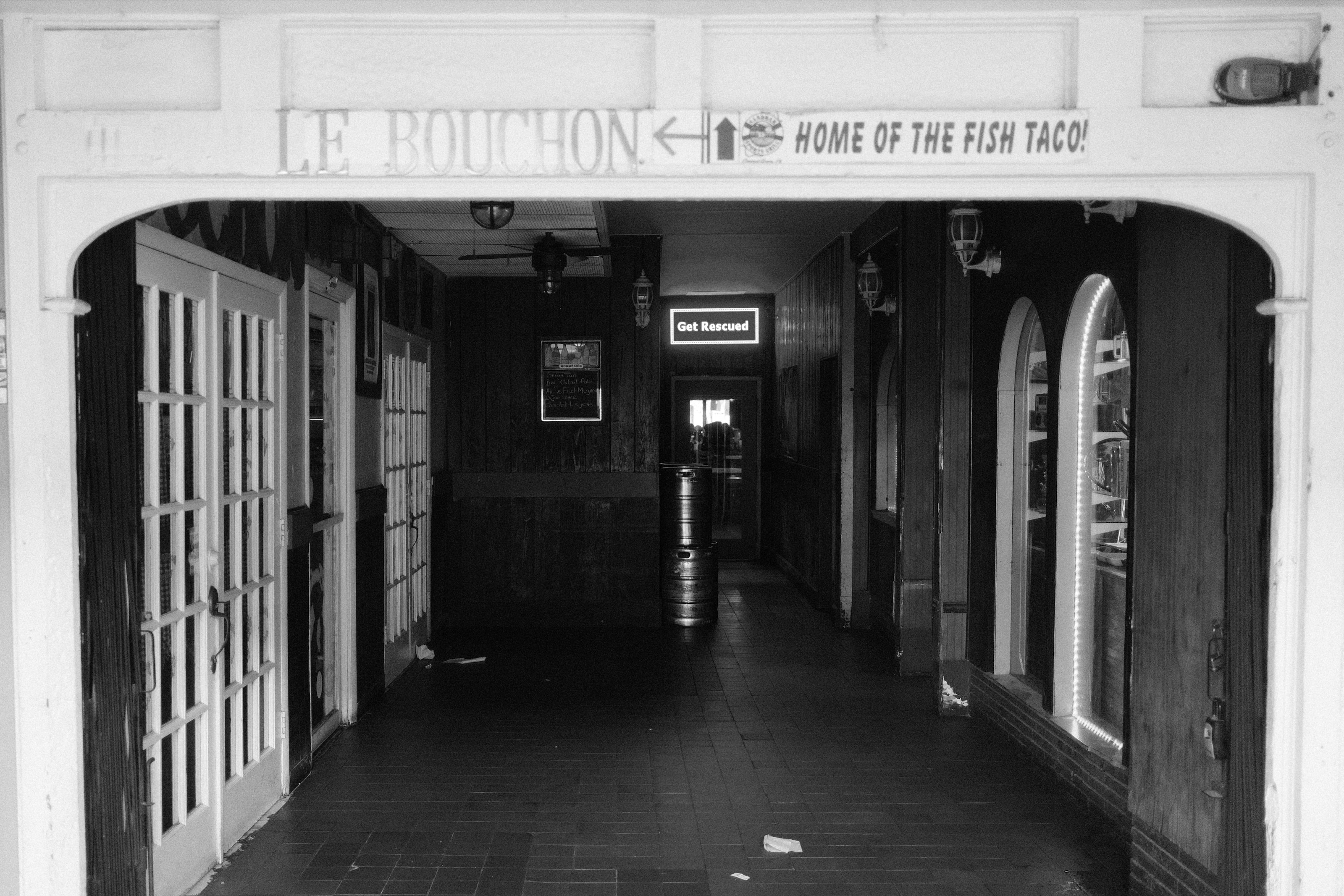 Image 7 from Miami, Fall 2024 album