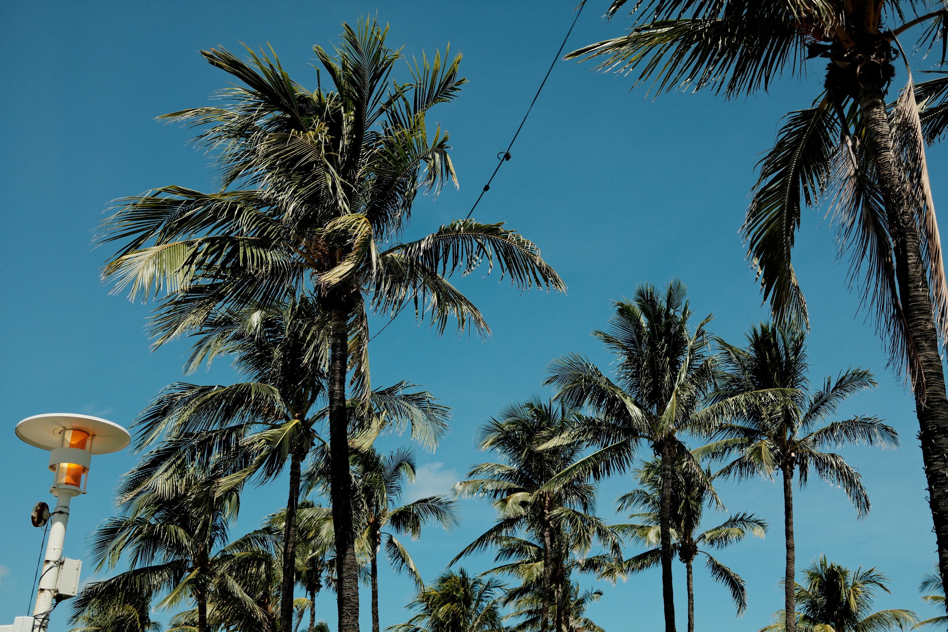 Image 9 from Miami, Fall 2024 album