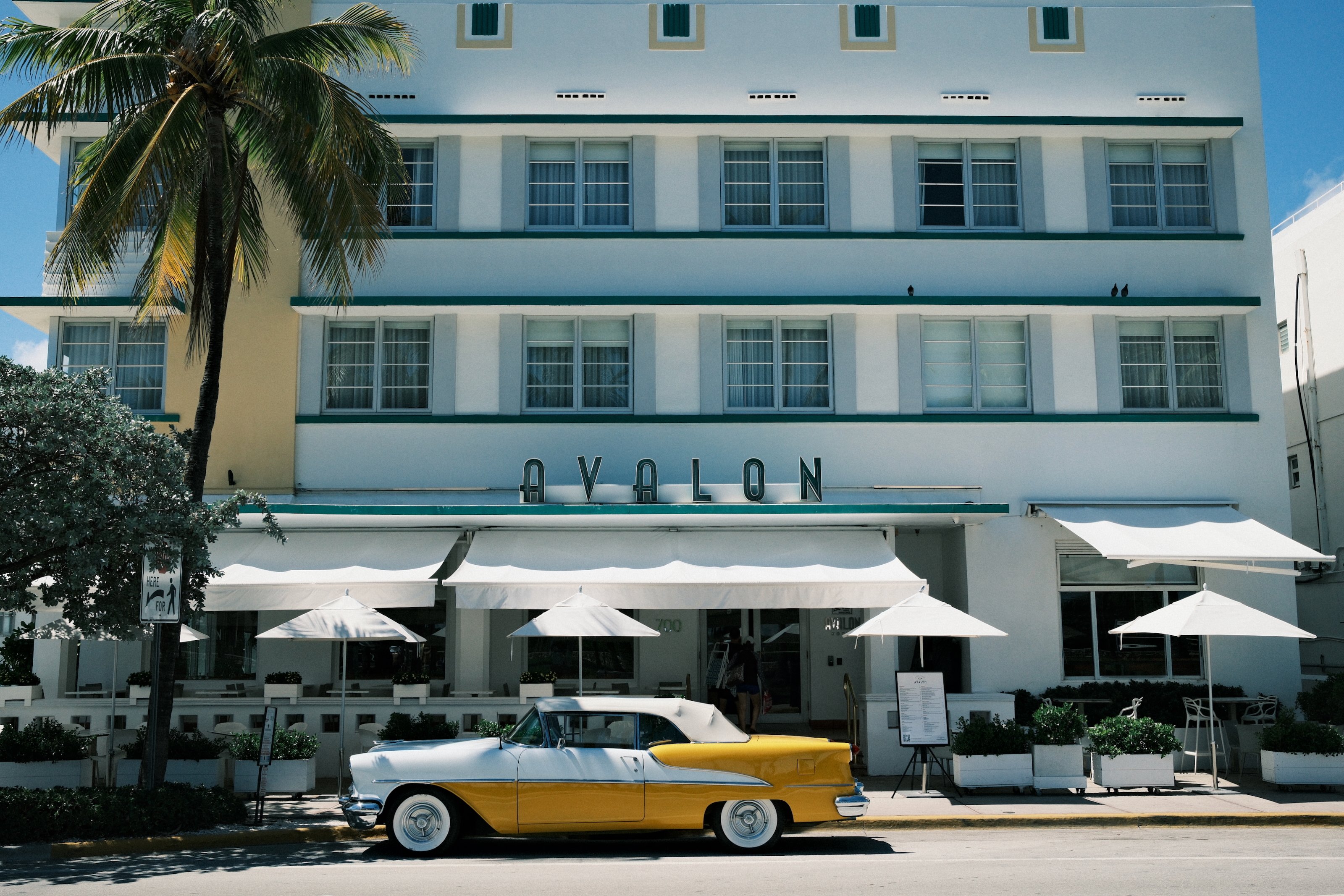 Image 11 from Miami, Fall 2024 album