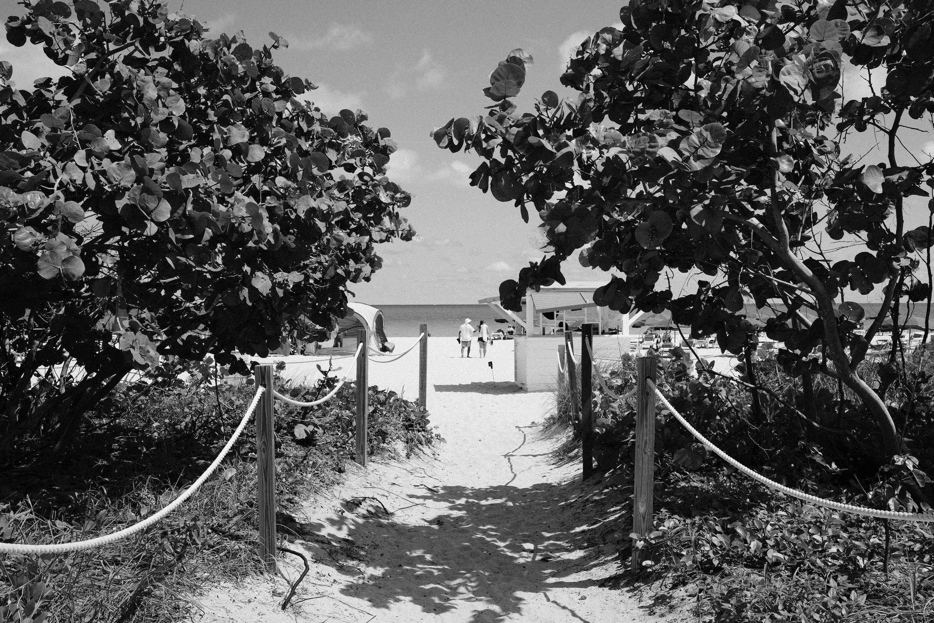 Image 15 from Miami, Fall 2024 album