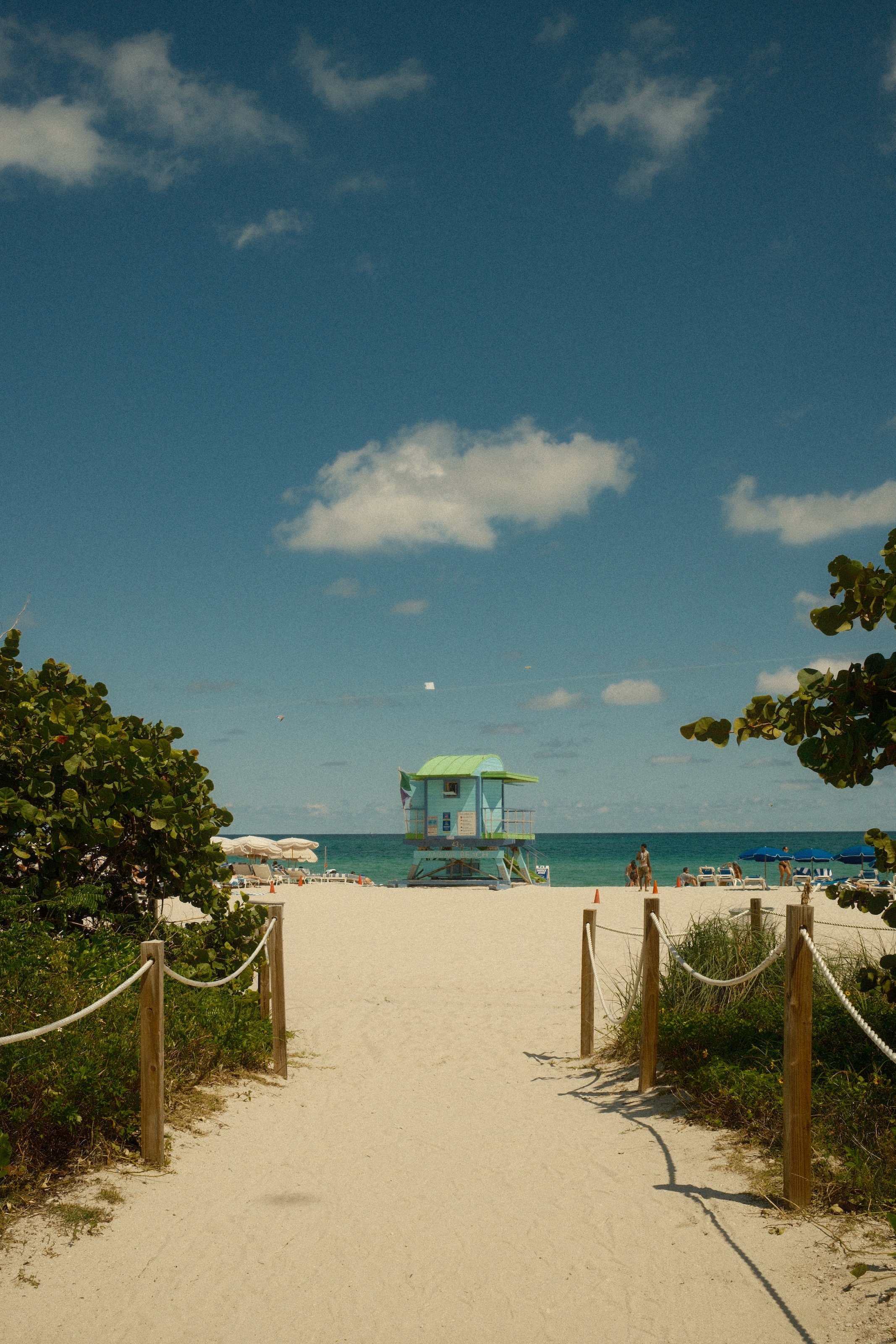 Image 16 from Miami, Fall 2024 album