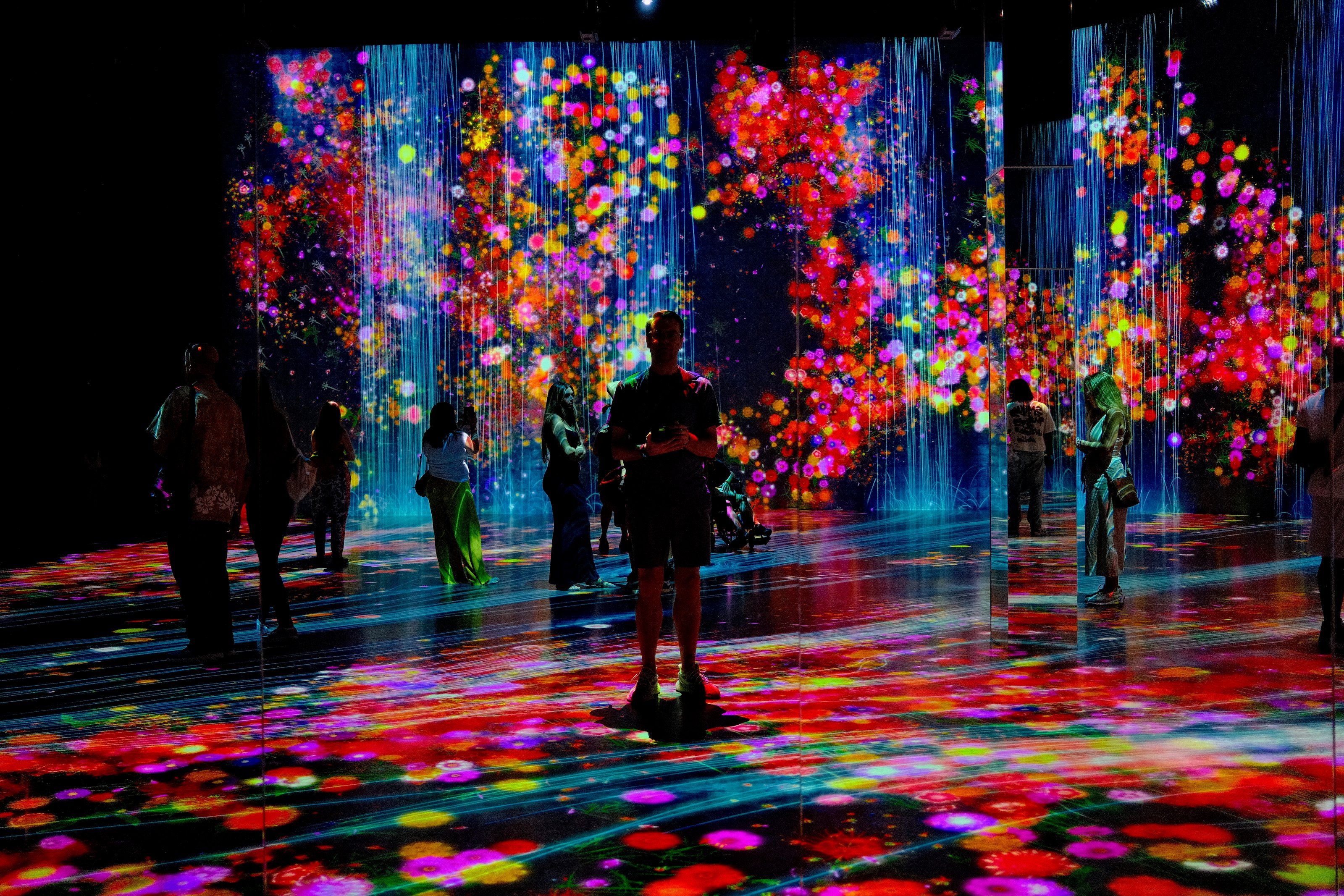 Image 19 from Miami, Fall 2024 album