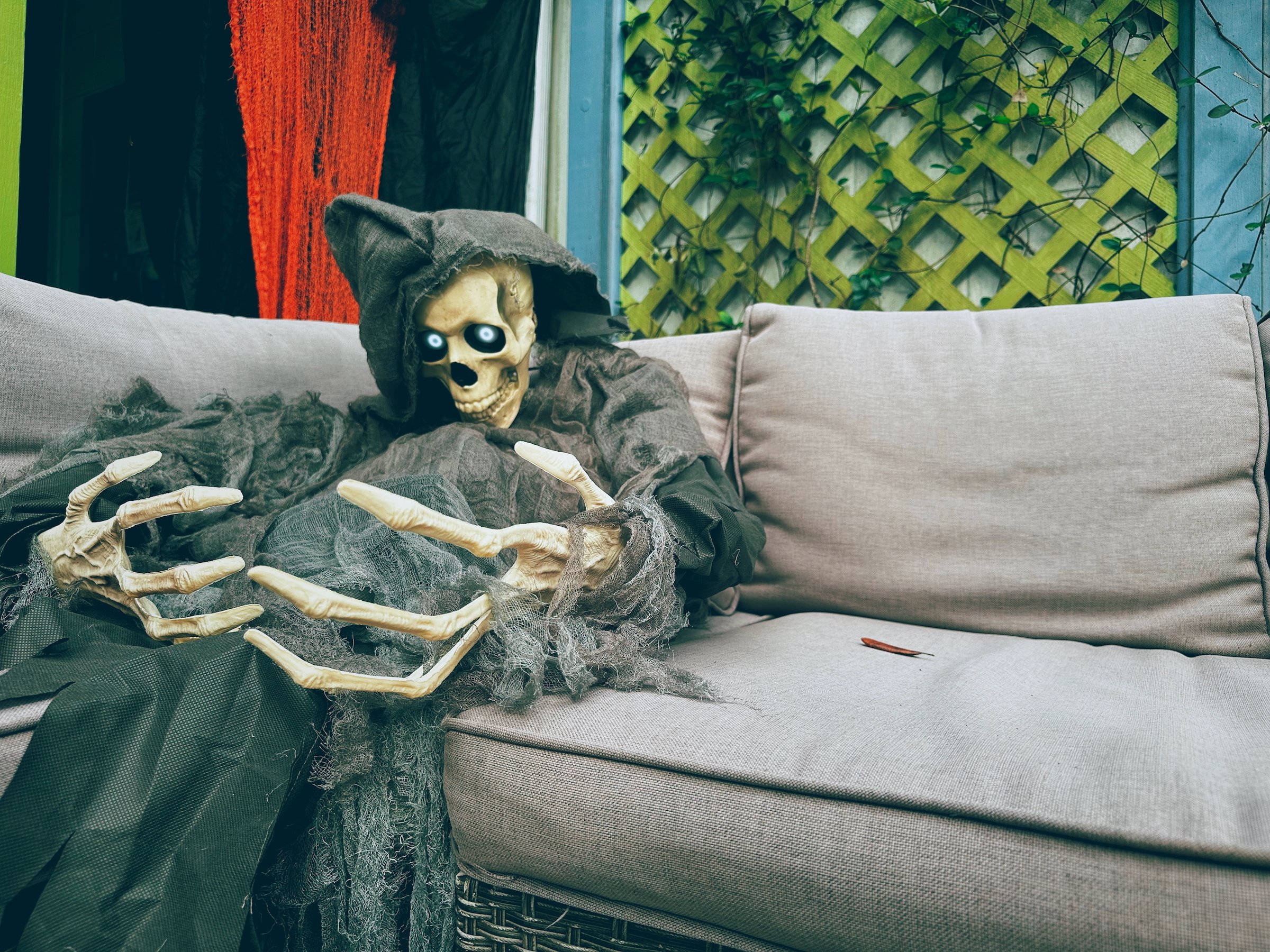 Image 2 from Orlando, Fall 2022 album