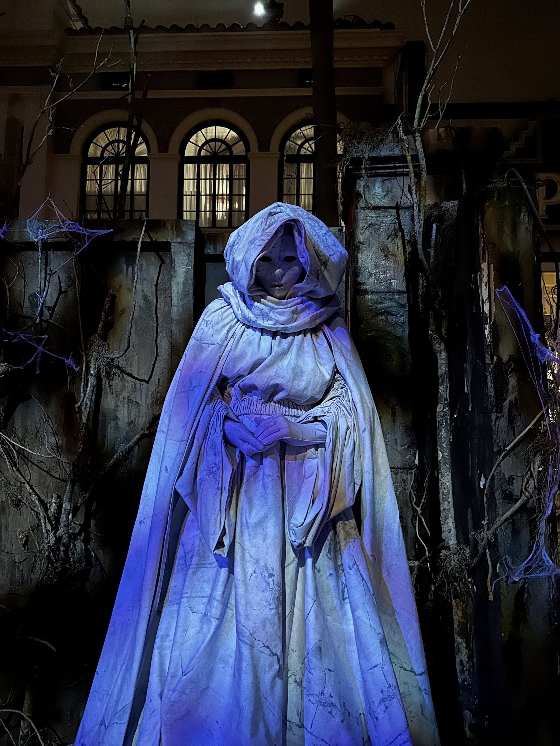 Image 4 from Orlando, Fall 2022 album