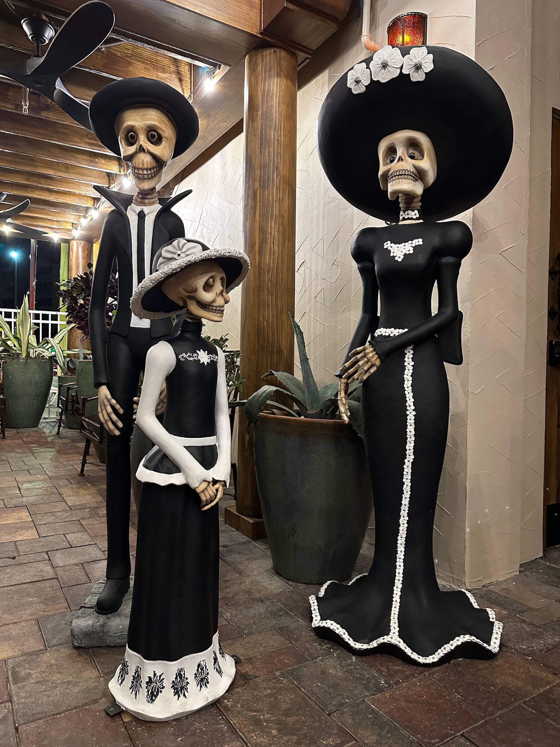 Image 7 from Orlando, Fall 2022 album