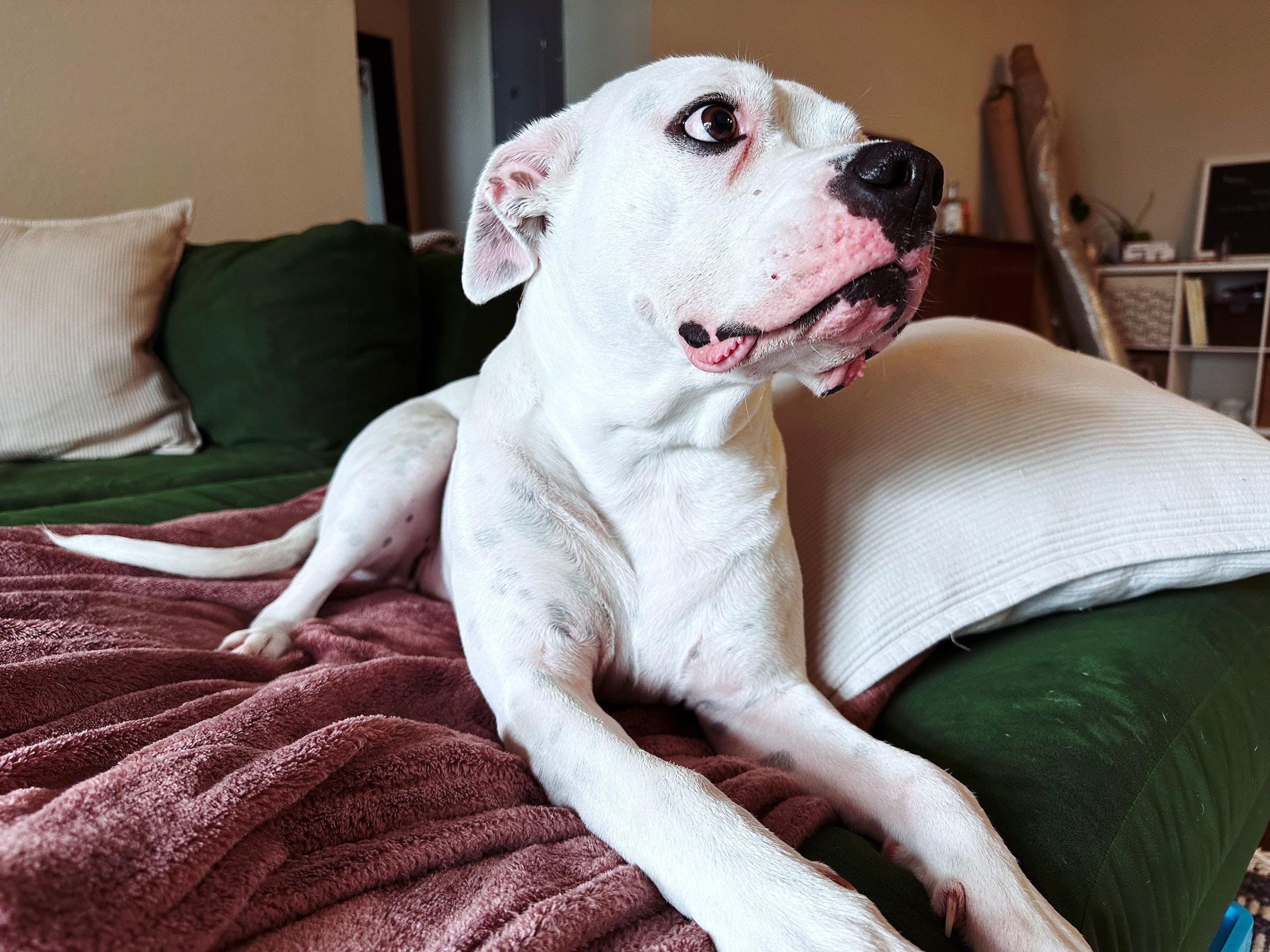 Image 9 from Orlando, Fall 2022 album