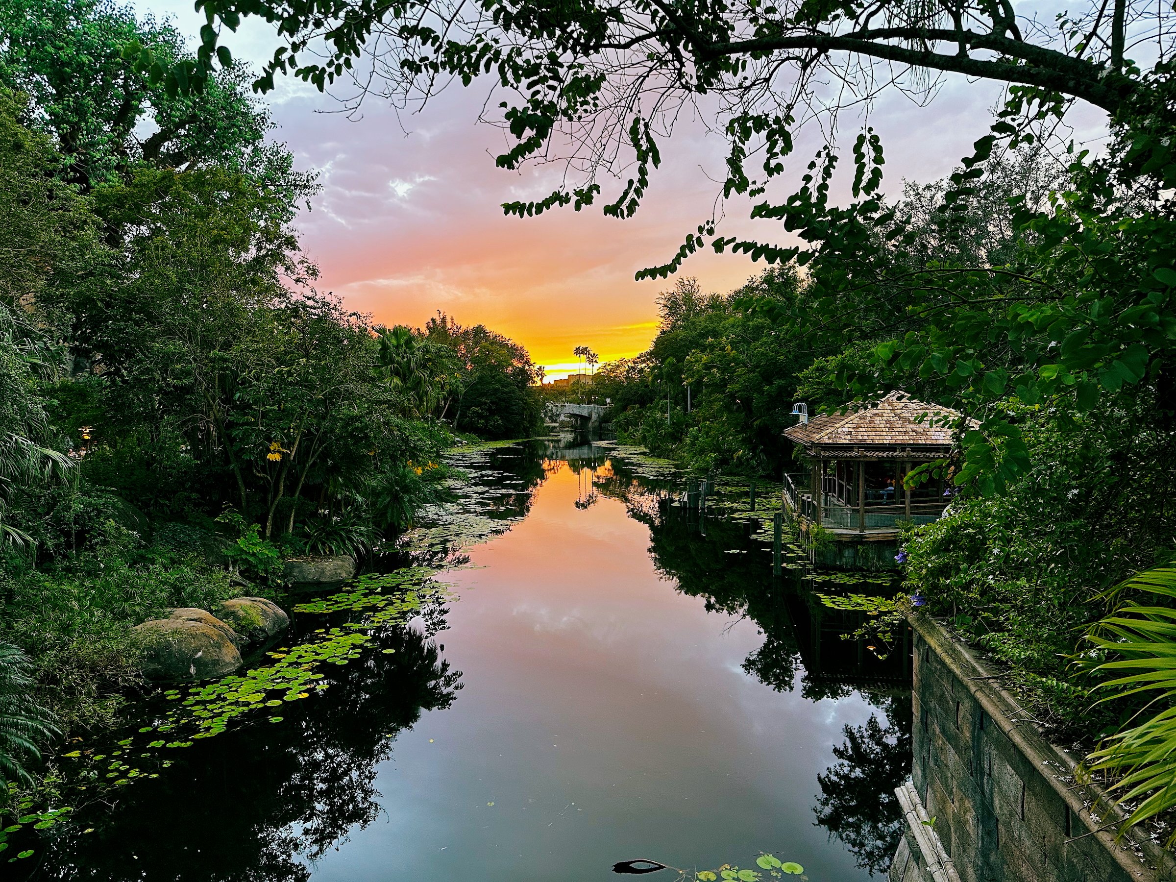 Image 10 from Orlando, Fall 2022 album