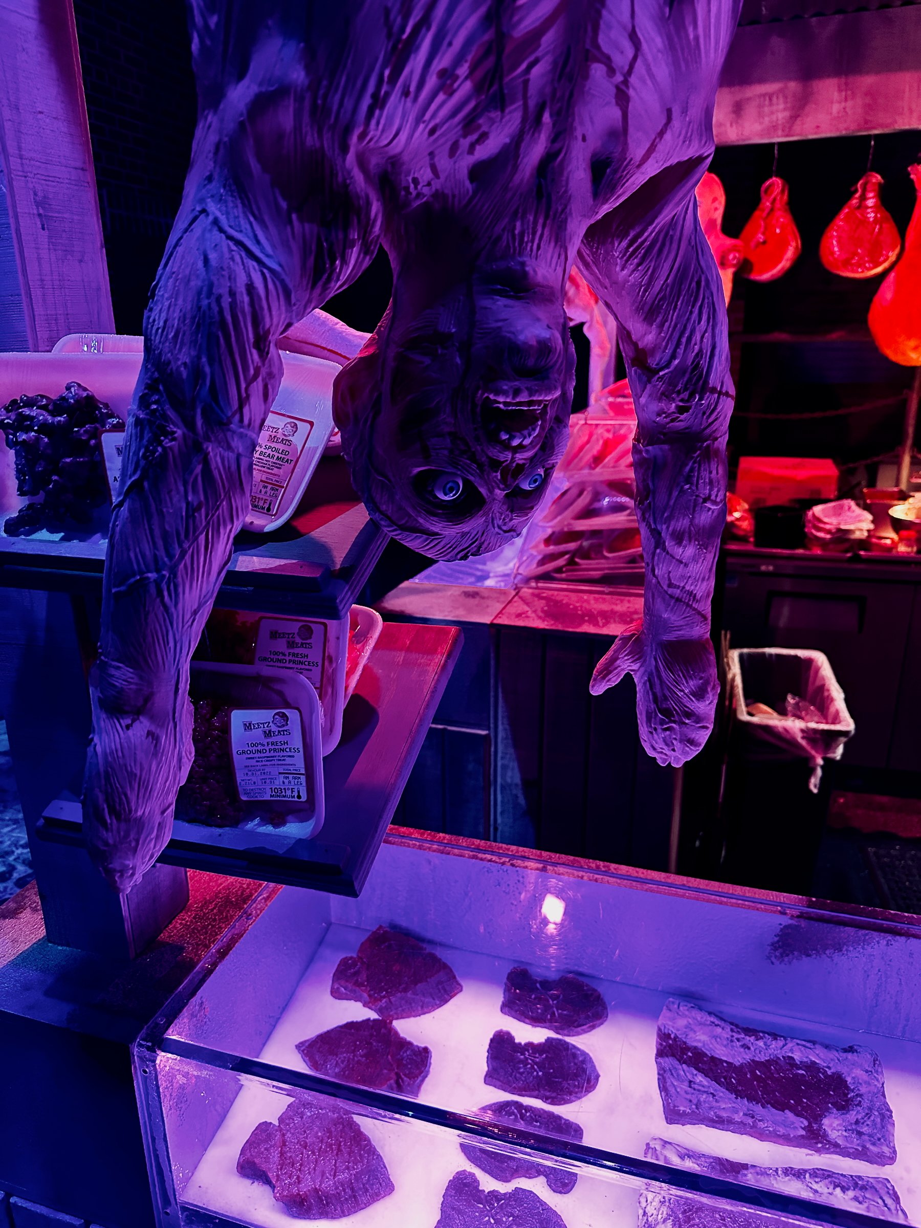 Image 12 from Orlando, Fall 2022 album