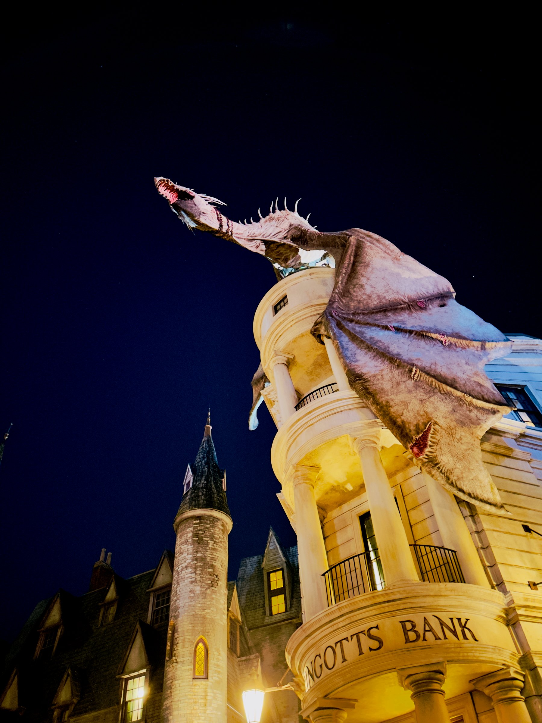 Image 14 from Orlando, Fall 2022 album