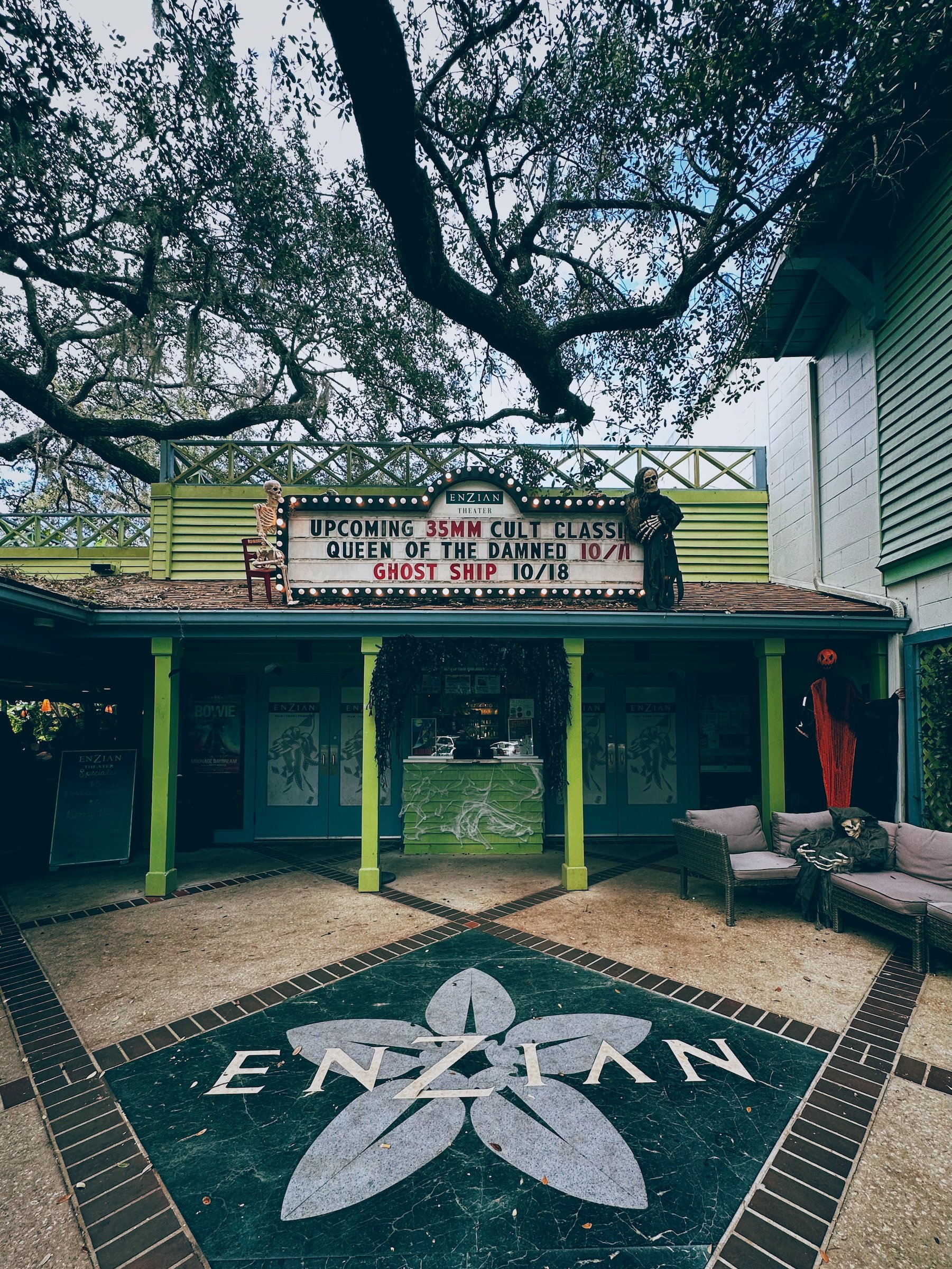 Image 20 from Orlando, Fall 2022 album