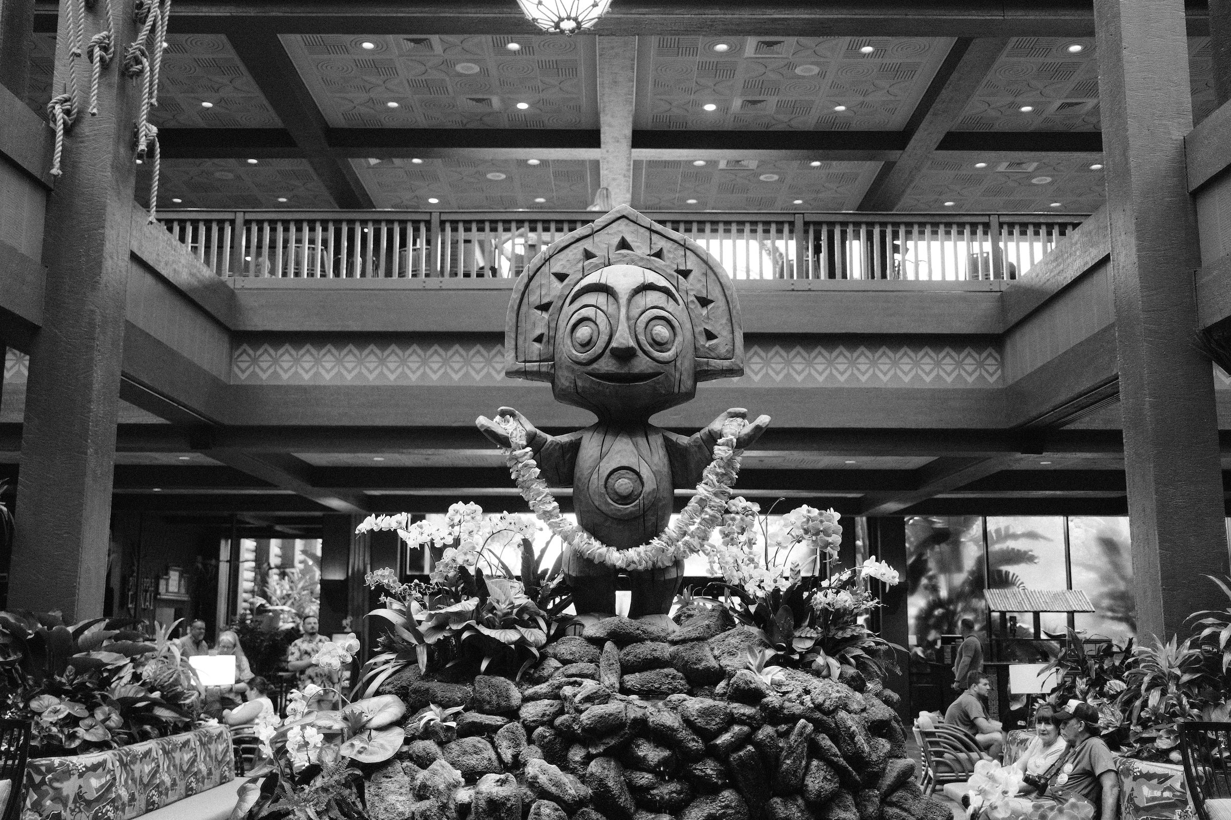 Image 1 from Orlando, Fall 2024 album