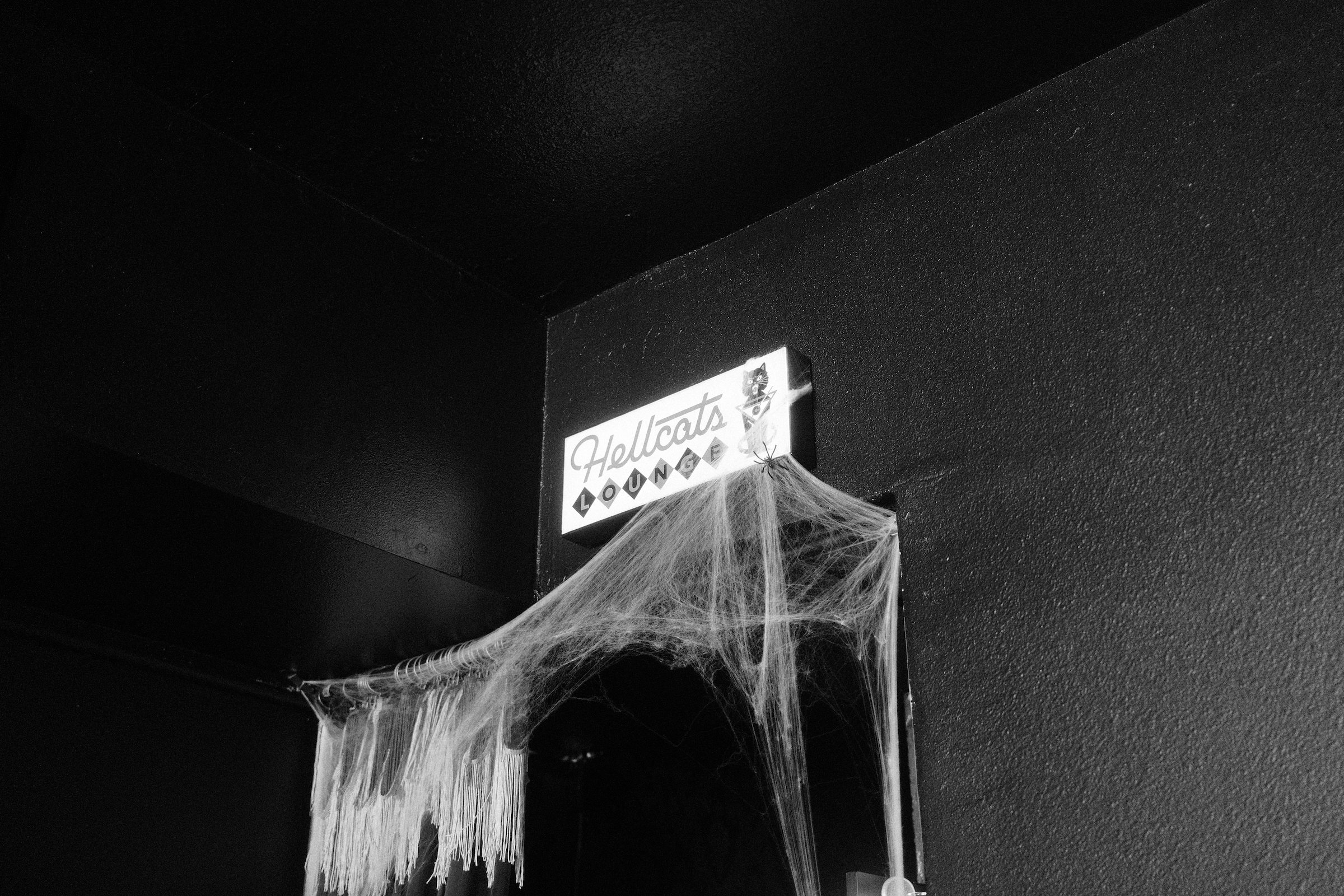 Image 2 from Orlando, Fall 2024 album