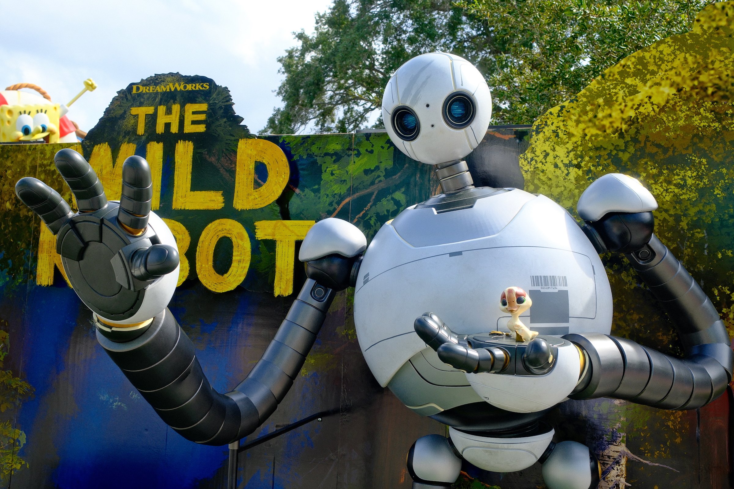 Image 3 from Orlando, Fall 2024 album