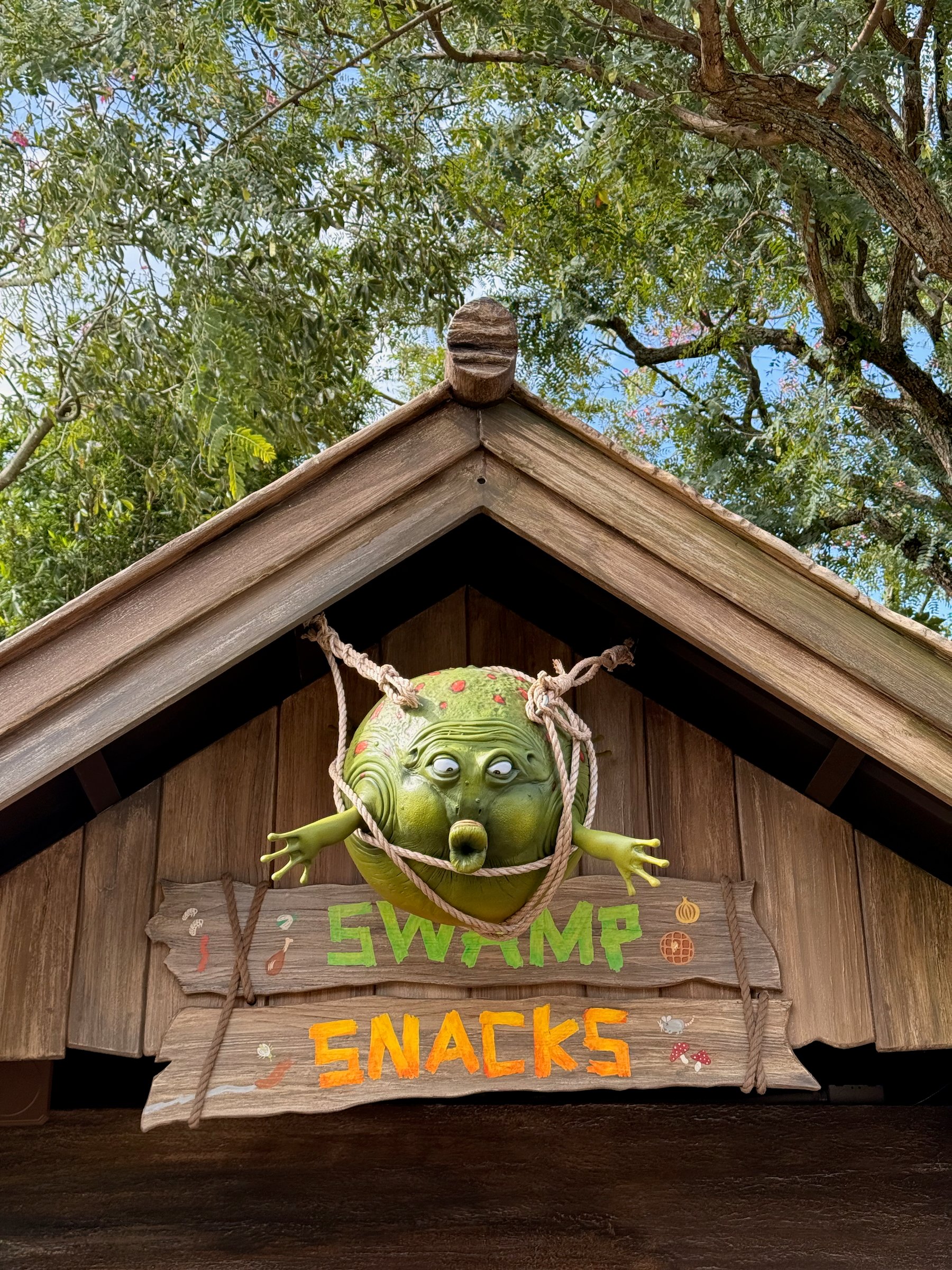 Image 4 from Orlando, Fall 2024 album