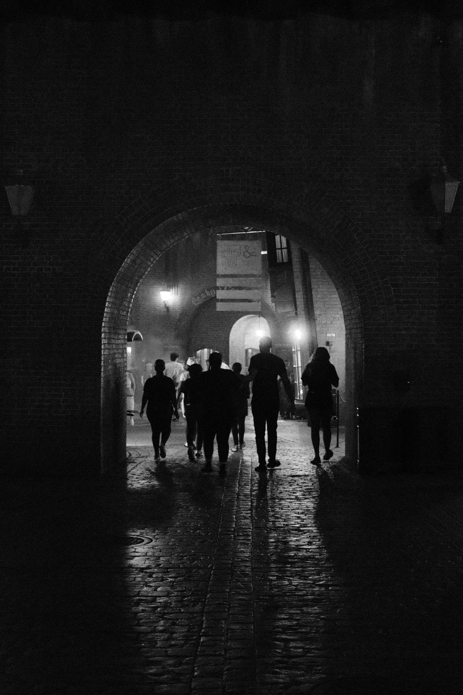 Image 8 from Orlando, Fall 2024 album