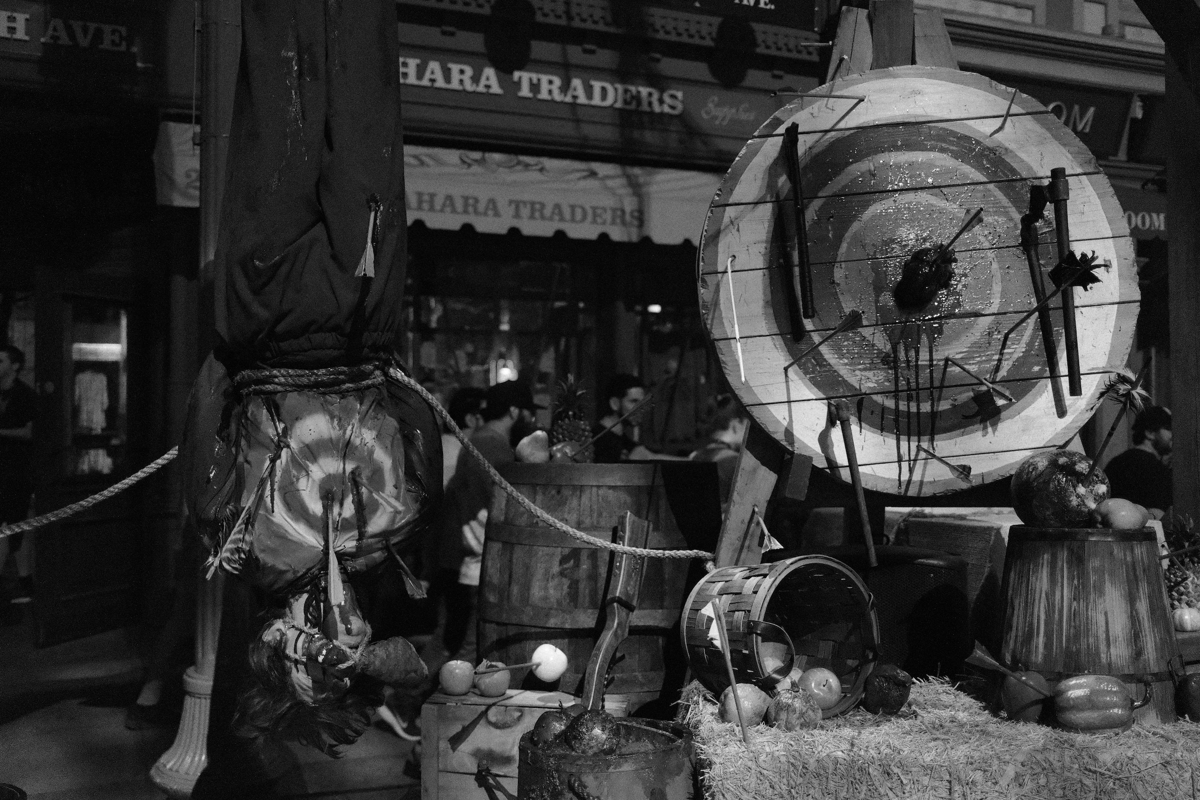 Image 11 from Orlando, Fall 2024 album