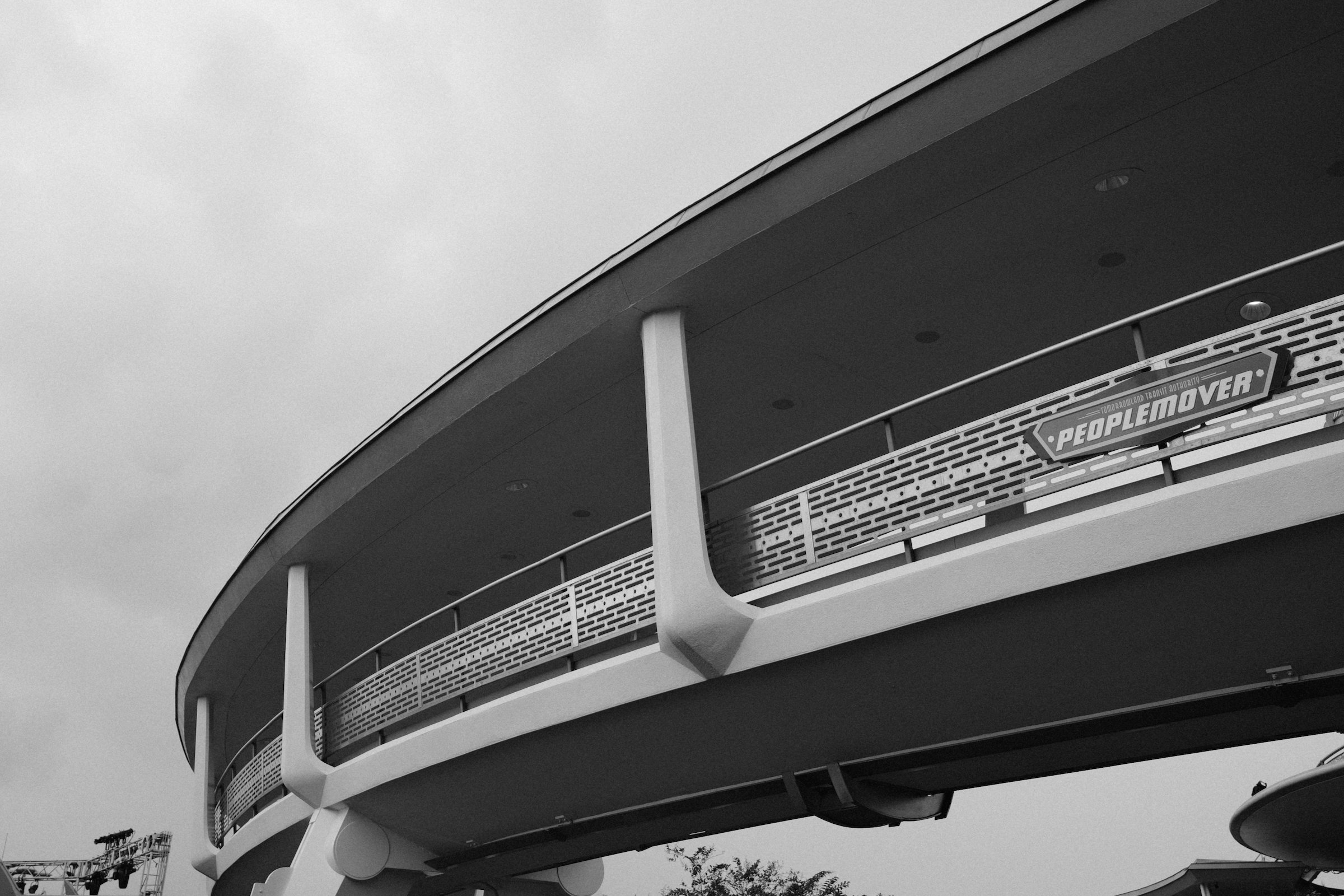 Image 19 from Orlando, Fall 2024 album