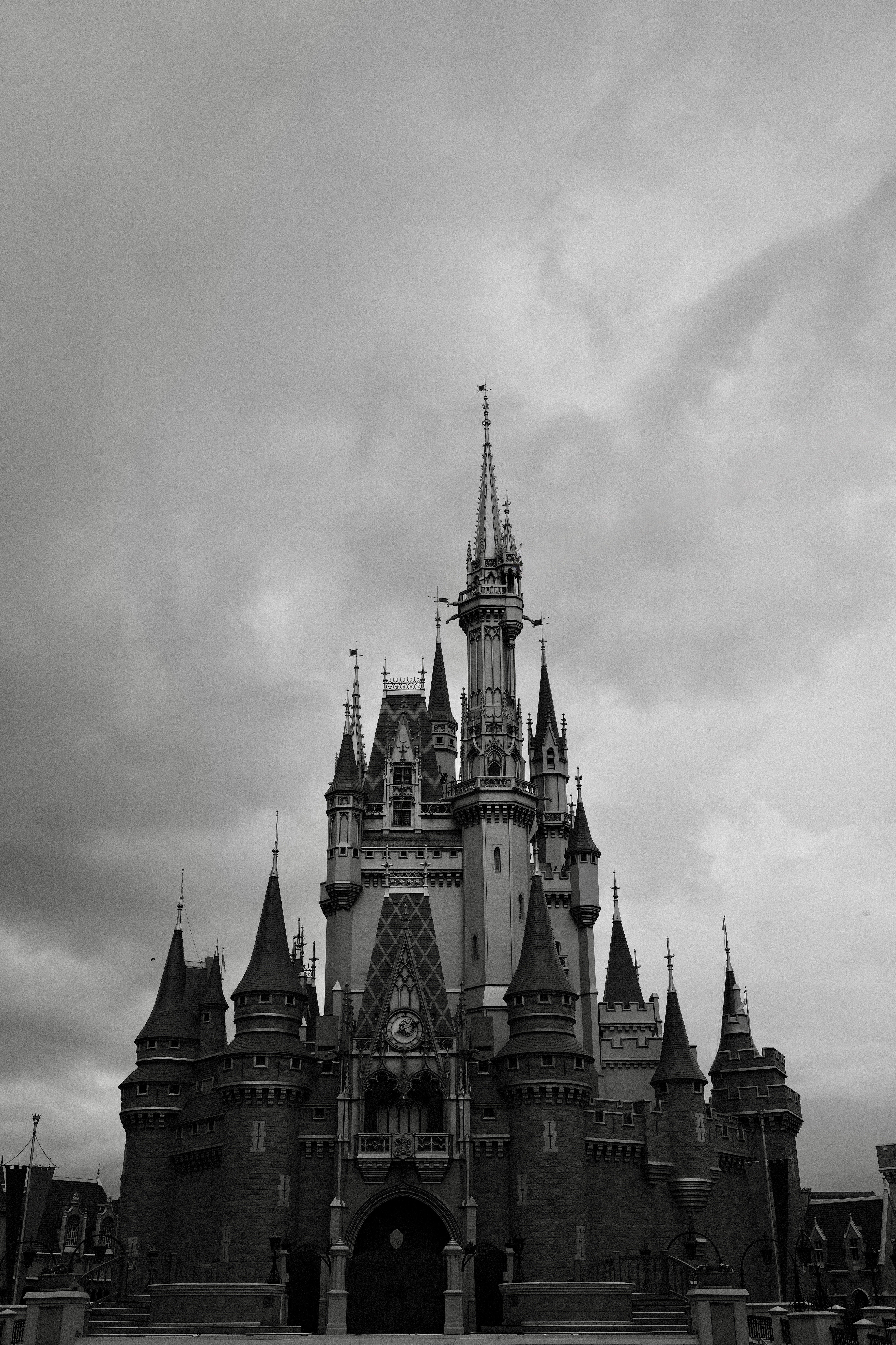 Image 20 from Orlando, Fall 2024 album