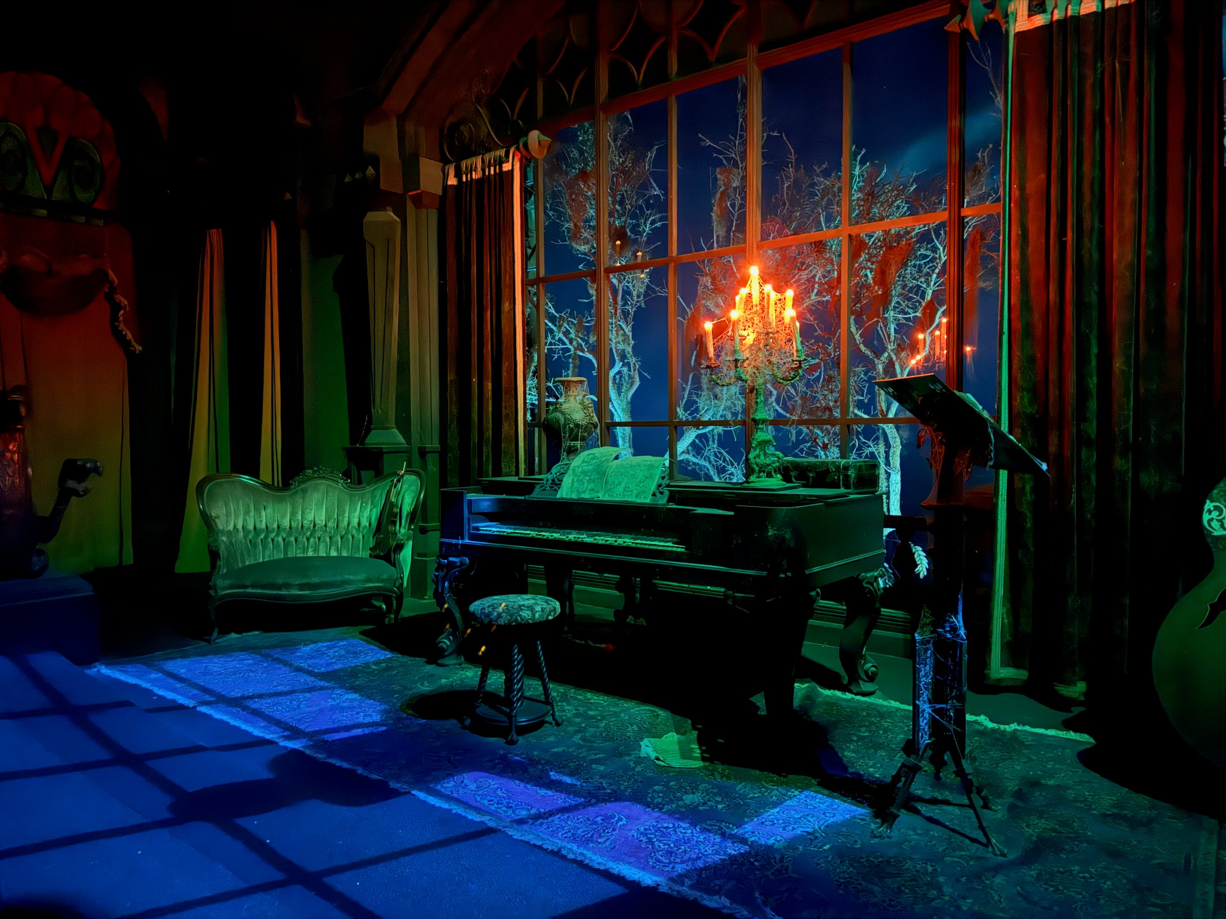 Image 21 from Orlando, Fall 2024 album