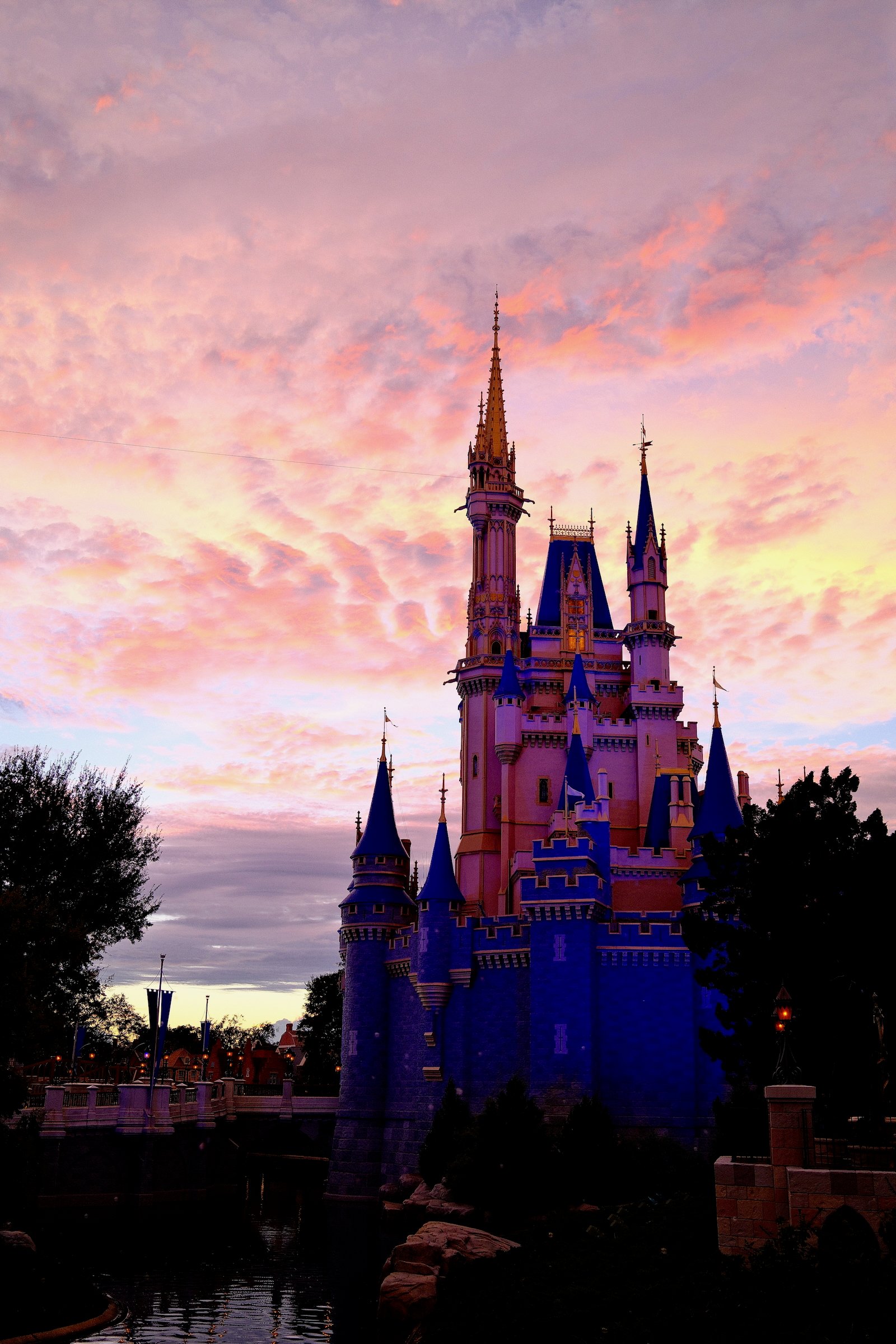 Image 25 from Orlando, Fall 2024 album