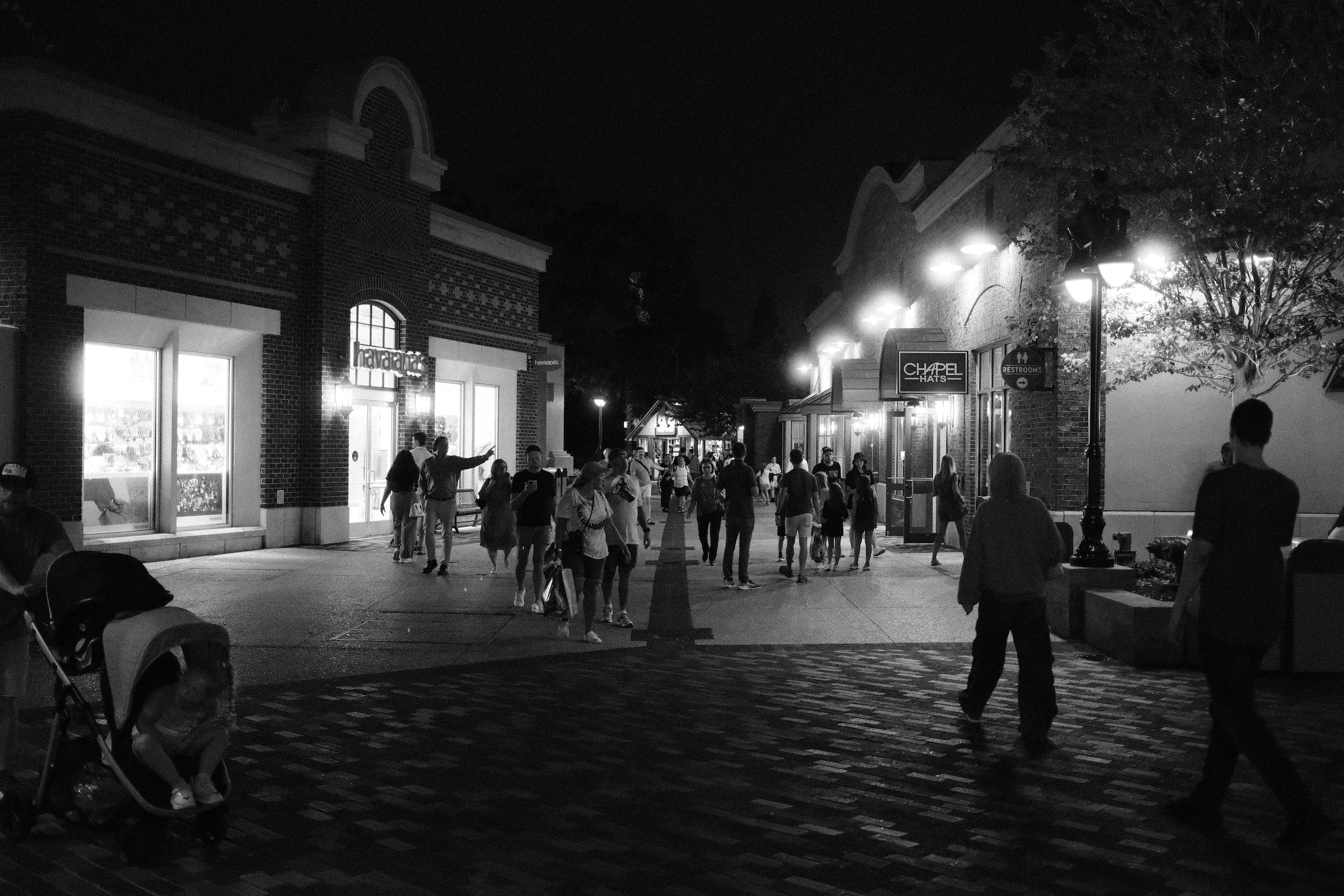 Image 29 from Orlando, Fall 2024 album