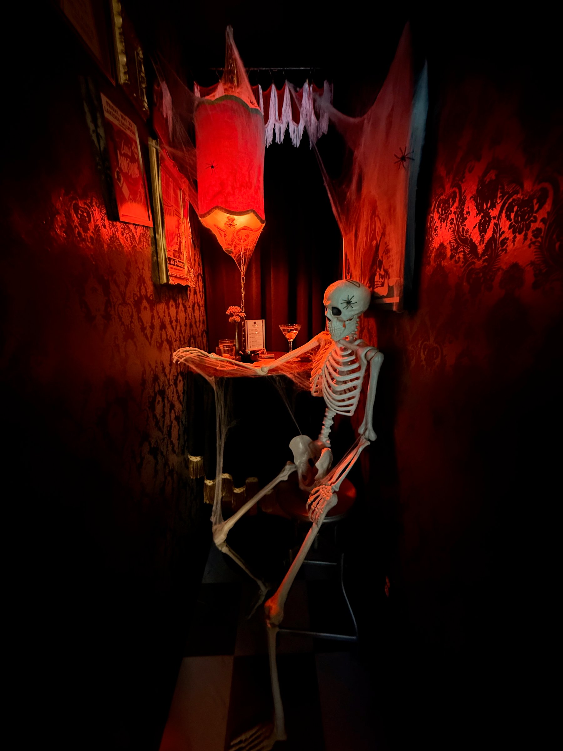 Image 31 from Orlando, Fall 2024 album